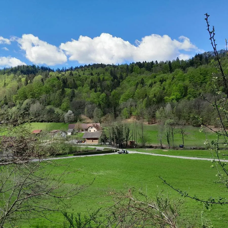 Nice Apartment Near By Capital Of Slovenia Ljubljana