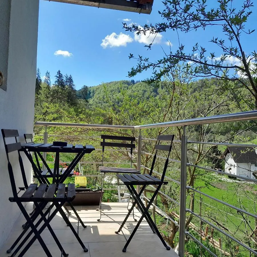 Nice Apartment Near By Capital Of Slovenia Ljubljana 0*,  Slovenia